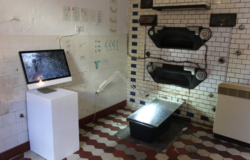 Anthropozän Anthropocene Kunst Art