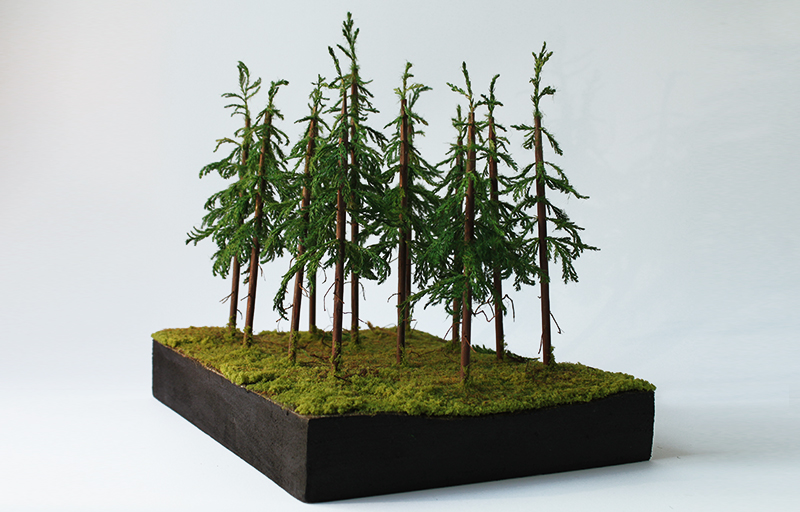 Diorama Fichten Kunst