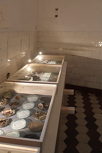 Rain Main Donau Kanal Kunst Art