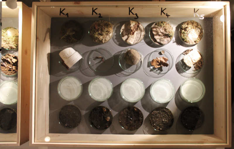 Rain Main Donau Kanal Kunst Art