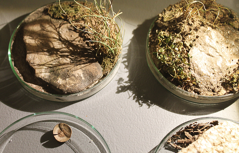 Rain Main Donau Kanal Kunst Art