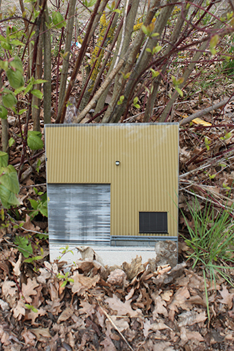 Kunst Ulrich Stolz Natur Landschaft 