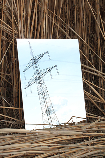 Kunst Ulrich Stolz Natur Landschaft 