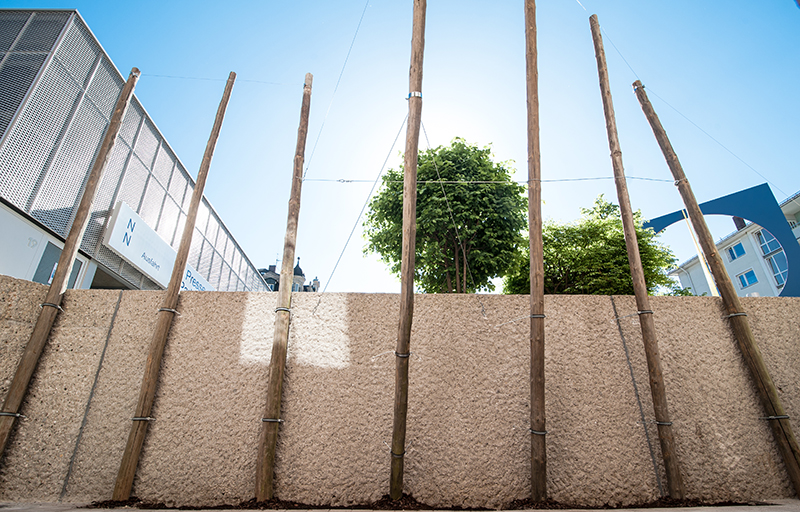 Kunst Ulrich Stolz Natur Landschaft 