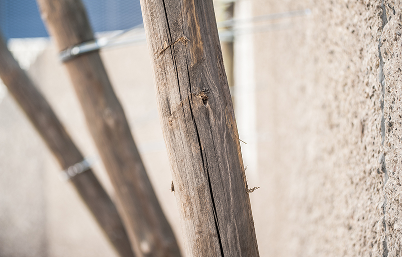 Kunst Ulrich Stolz Natur Landschaft 