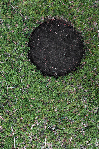 Kunst Ulrich Stolz Natur Landschaft 