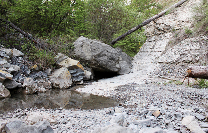 Kunst Ulrich Stolz Natur Landschaft Fluss