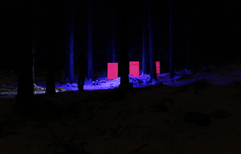 Kunst Ulrich Stolz Natur Landschaft Licht