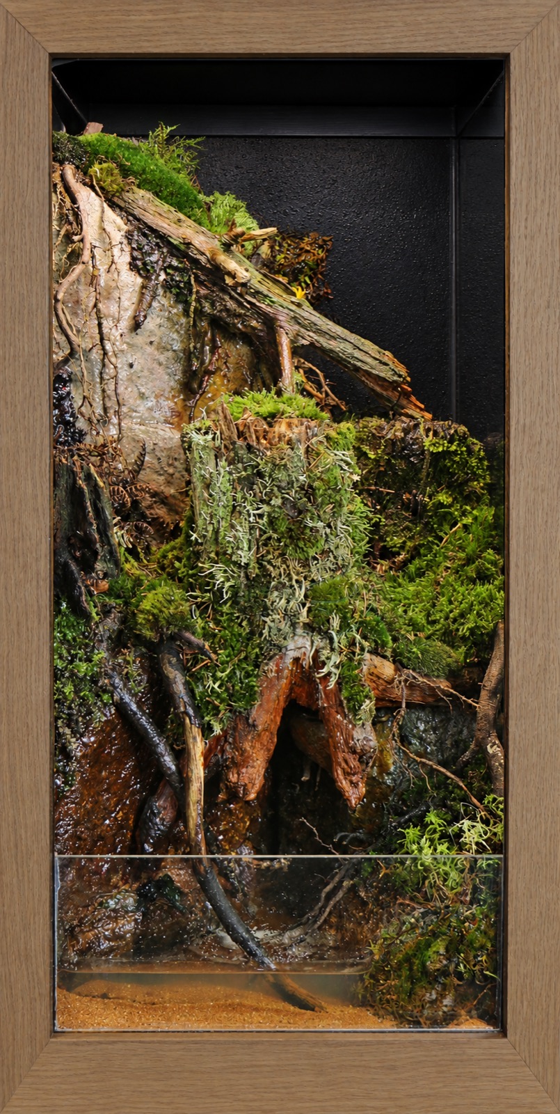 Terrarium mit Fundstücken aus der Dresdner Heide und fließendem Wasser – Alles löst sich auf
