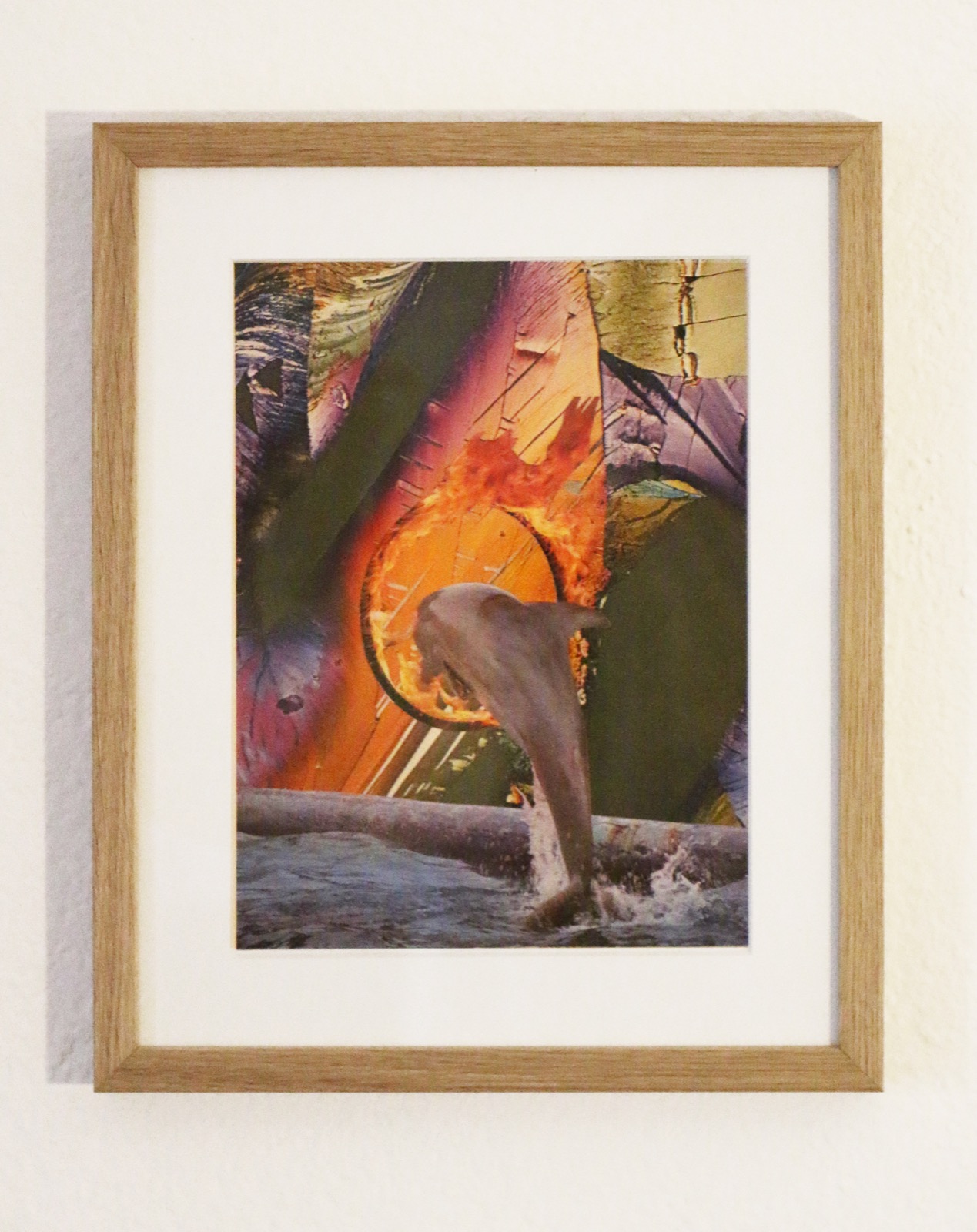 Innere Collage mit Delfin, Feuer und Wasser