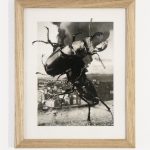 Ulrich Stolz, collages — view of the artwork 3