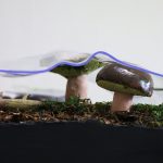 Einmal Erde – Detailansicht eines eingeschweißten Naturraums