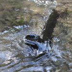 Ansicht 1 der Arbeit „geformtes Wasser“