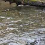 Ansicht 3 der Arbeit „geformtes Wasser“