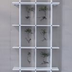 Ansicht 1 der Arbeit „Produktion Wald“