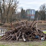 Ansicht 1 der Arbeit „Schüttung Roter Main“