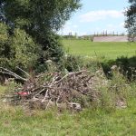 Ansicht 4 der Arbeit „Schüttung Roter Main“